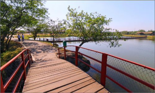 parque-centenario-da-imigração-japonesa